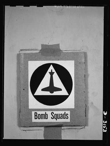 Insignia of Air Raid Protective Services