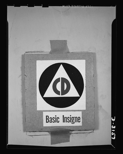 Insignia of Air Raid Protective Services