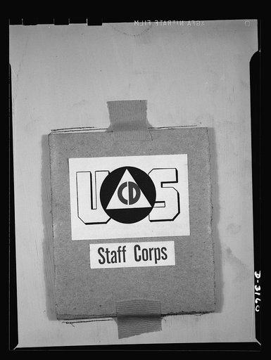 Insignia of Air Raid Protective Services