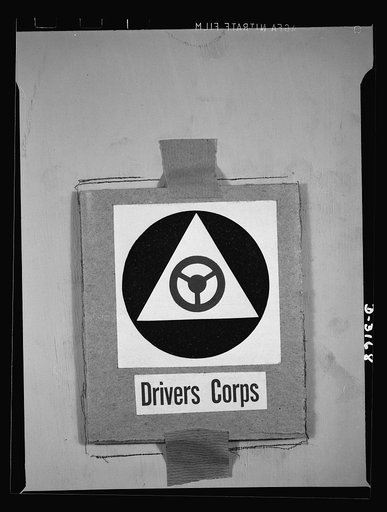 Insignia of Air Raid Protective Services