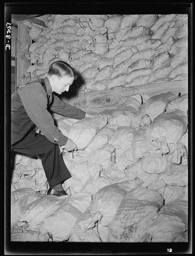 The Army is an important user of tire chains. Each of the new halftrac scout cars being turned out in a large Midwest plant will carry tire chains as standard equipment. White Motor Company, Cleveland, Ohio
