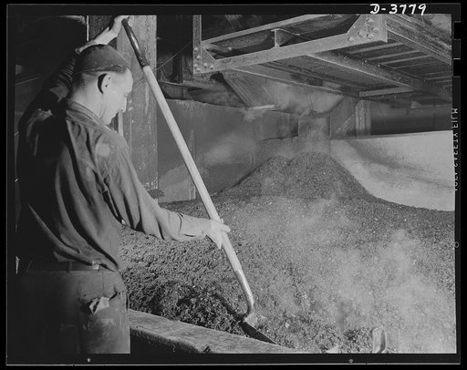 Rubber reclamation. Rubber "mush" from old tires. Softened rubber material, reclaimed from scrap tires by dissolving and washing away the fiber, passes from dewatering screens to storage bins. The rubber, still hot from steam used in previous operations, is kept moving into a squeezing device before