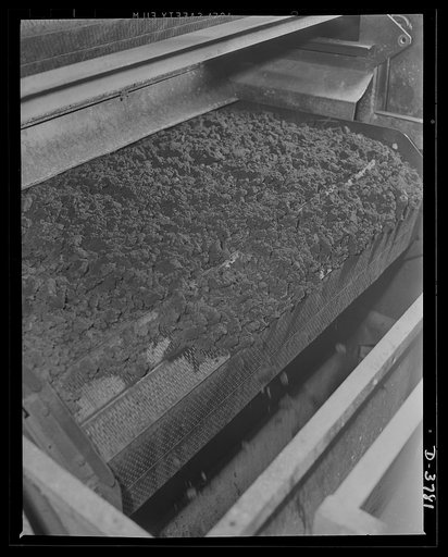 Rubber reclamation. Reclaimed rubber in the making. Dried scrap rubber, reclaimed at a large Midwest plant, is discharged from a continuous belt dryer and collected for an operation on the mill rolls. The procedure is known as the xylos process. Firestone