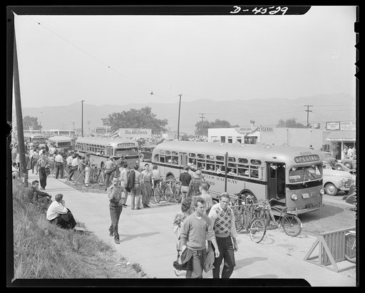 Car pooling at Lockheed Vega. Some of the busses and bicycles which provide transportation to and from the plant for thousands of Lockheed Vega aircraft workers