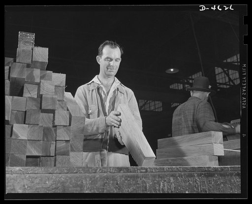 Conversion. Flooring to gunstocks. Only the best of walnut goes into the gunstocks of Uncle Sam's army. An inspector in a converted hardwood flooring plant looks for the grain deviations or twists which would disqualify a piece for use in rifle "furniture." Louisville, Kentucky