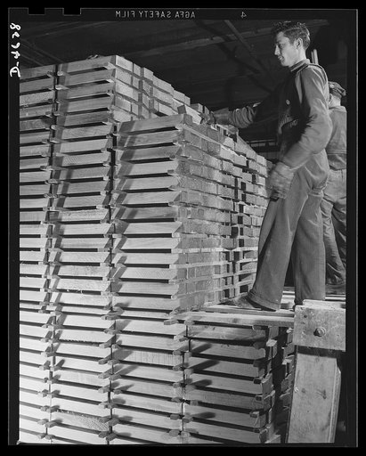 Conversion. Flooring to gunstocks. Rifle "furniture" for the Army. Carefully selected walnut butts from which gunstocks will be made are stacked on a kiln truck for a drying operation that will reduce the moisture content to twelve percent. After drying, they will be ready for turning into rifle sto
