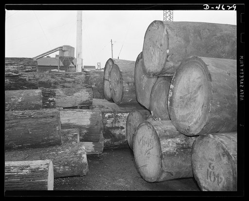 Production. Veneer for aircraft and other war essentials. Veneers for our combat planes are made from these specially selected logs, stored in the yard of a large Midwest factory. The logs on the right are African mahogany from the British Gold Coast. Those on the left are American poplar. Millions 