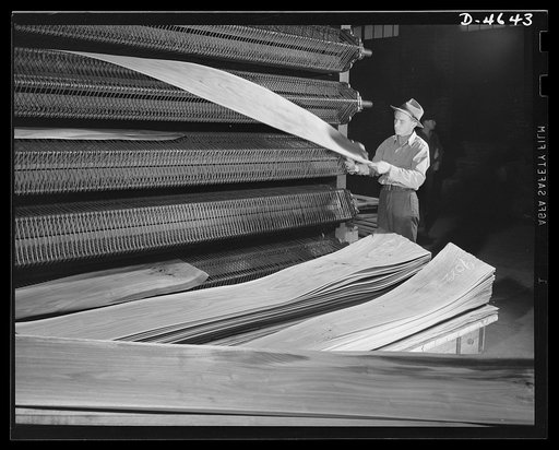 Production. Veneer for aircraft and other war essentials. A strip of walnut veneer that will be used in a panel of a combat plane comes from the textile dryer of a Midwest plant. This operation reduces the moisture content to about eight to ten percent. Sheets are stacked in exact sequence just as t