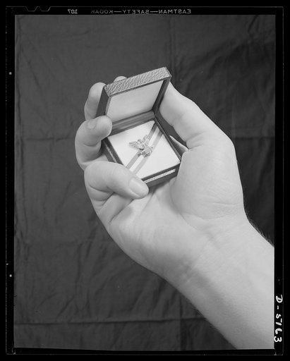 Production drive. A pin which is presented to war production workers who receive the citation for Individual Production Merit
