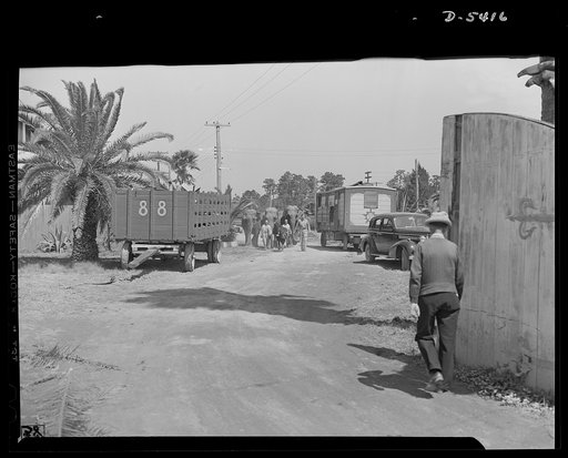 De Land pool. Moving circus. Making way for war in Florida. The De Land industrial pool needed the county fair buildings housing a circus for its defense plant. So the roustabouts loaded the elephants, the sideshows, the big top, and trainloads of other equipment and went on the road a week early th