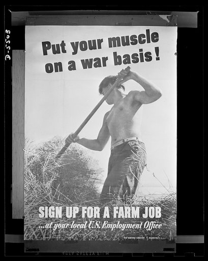 War Manpower Commission poster. Farm labor poster distributed to Department of Agriculture. War boards for display in small town post offices, community centers and other public buildings. The original, size 28 1/2 inches by 40 inches, is printed in yellow and black on white and is from a photograph
