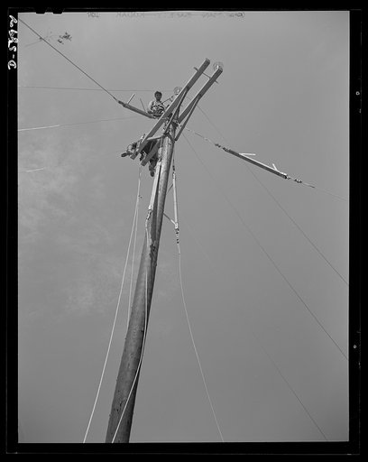 Fort Knox. Electric power line construction. Linemen, the "broadbacks" of the electrical industry, extend a new power line to Fort Knox, Kentucky, where American soldiers are training and hardening for the battles of democracy