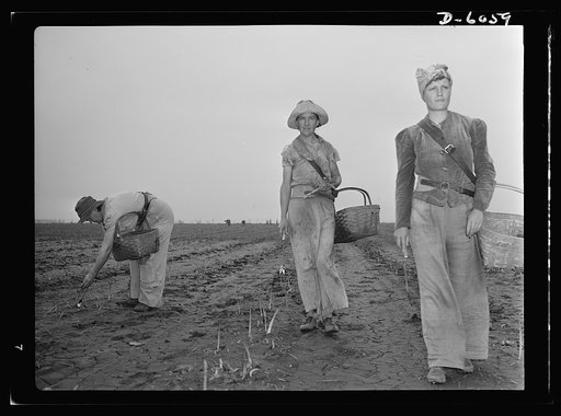 Women in war. Agricultural workers. With the nation's manpower swelling the ranks of the armed forces, women must step into many new occupations in both urban and rural life. These women harvest hands in Rochelle, Illinois, are helping the national welfare by picking the summer asparagus crop