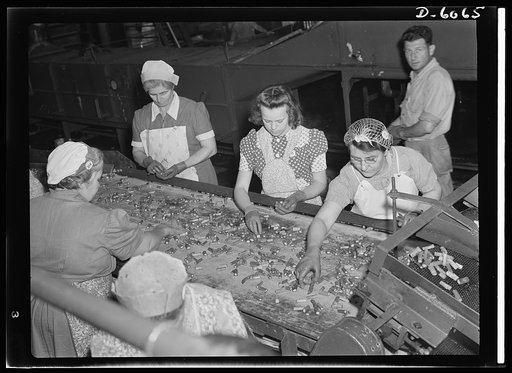 Women in war. Summer canning workers. Food to make America strong. Women near Rochelle, Illinois, many of them schoolteachers and pupils, work in asparagus canning factories during the summer months