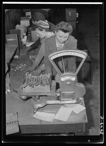 Women in war. Summer canning workers. A skilled and vastly important job in this Rochelle, Illinois, asparagus canning factory is performed by this woman grading expert. The grade of vegetables, their water content, and the relative excellence of the product determines the price which the canner wil