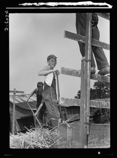 Manpower. Young farm workers. With the nation's manpower rapidly being recruited into the armed forces, youngsters like this future farmer of Ohio will take an increasingly important part in America's agricultural activities