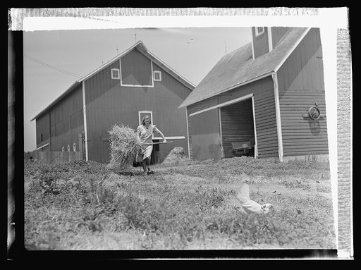Agriculture. Women on farms. Induction of much of America's manpower into the armed forces brings increased activity to U.S. farmer's wives. One of these, Mrs. Harold Sontag of Maple Park, Illinois, finds the day all too short for the completion of her many chores. With cattle, horses, and poultry t
