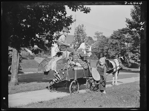 Manpower, junior size. The charge of the scrap brigade in Roanoke, Virginia includes such methods of collecting as this pony cart. The patriotic and energetic youngsters of the town are making an all-out effort to corner every available piece of scrap in the city, so that their soldier and sailor br