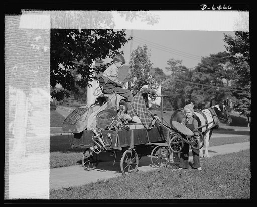 Manpower, junior size. The charge of the scrap brigade in Roanoke, Virginia includes such methods of collection as this pony cart. The patriotic and energetic youngsters of the town are making an all-out effort to corner every available piece of scrap in the city, so that their soldier and sailor br