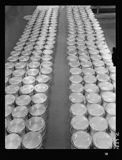 Production. Pratt and Whitney airplane engines. Pistons, complete with rings, are lined up for assembly in Pratt and Whitney airplane engines at a large Eastern plant working to full capacity to supply our armed forces with the power to carry American planes to victory. Pratt and Whitney Aircraft