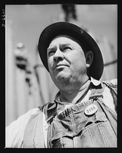 Tennessee Valley Authority power and conservation. Fort Loudoun Dam construction. A workman on a cofferdam of the new Fort Loudoun Dam, furthest upstream of the TVA's main Tennessee River projects. Scheduled for closure and first storage of water early in 1943, this dam will create a 15,000-acre lak