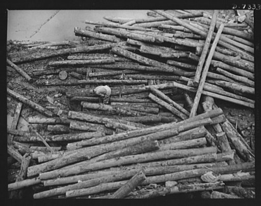 Tennessee Valley Authority. Construction of Douglas Dam.  Logs for the construction of a cofferdam at TVA's new Douglas Dam on the French Broad River. This dam will be 161 feet high and 1,682 feet long, with a 31,600 acre reservoir area extending forty-three miles upstream. With a useful storage cap