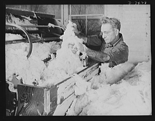 Discarded stockings go to war. Bleached silk stocking "material" being fed into the breaker machine for conversion into thread with which to make powder bags