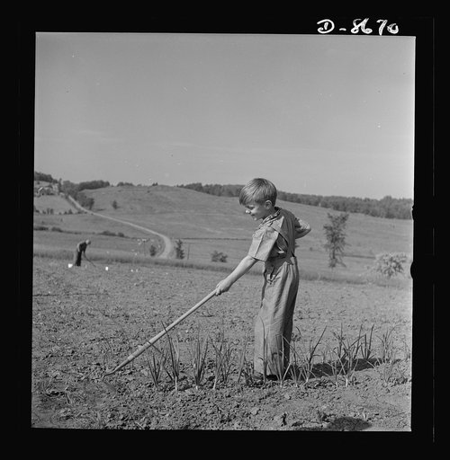 America's youngsters will take a hand in feeding the family this year. A worthwhile project for every member of the family. Victory Gardens, whether planted in the smallest backyard plot or in large acreages, will go a long way toward augmenting supplies of fruits and vegetables severely reduced by 