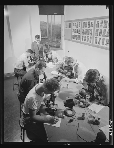 Science and research. Mineral prospecting. Micro-fossils can play an important role in locating the proper spot to drill an oil well. A magnificent history of the flow of ancient seas, of climate, of the rise and fall of empires of primitive forms of life is preserved in stone. Students in defense t