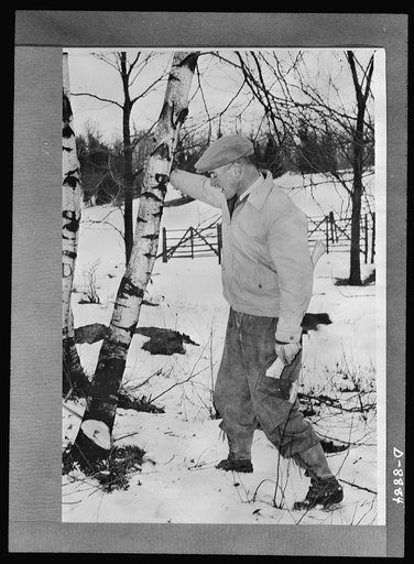 Governor Leverett Saltonstall of Massachusetts officially launches Paul Bunyan woodchopping contest in Massachusetts on Washington's birthday under the sponsorship of Granges and Farm Bureaus in the New England states, New York and Pennsylvania, in cooperation with the War Production Board (WPB) Nor