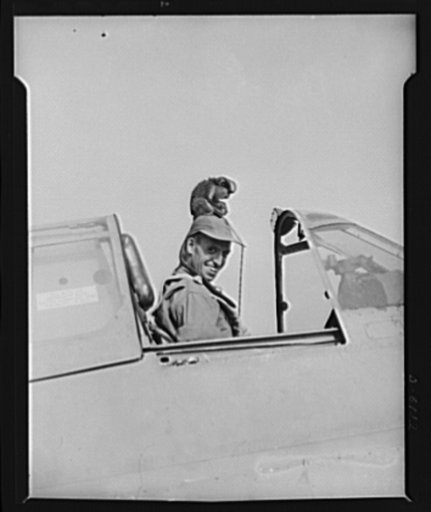 American "steam chickens" arrive in Africa. With "Josephine," squadron pet, as his mascot, Lieutenant M.W. Carney of Churchlands, Virginia, prepares to give a new fighter plane just arrived in Africa its test flight. "Josephine" likes to lounge around the cockpits of the fighting pursuit ships