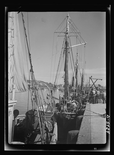 Victory food from American waters. At the docks in Gloucester, Massachusetts, crew members prepare their trawler for a week's voyage. Most of the fishermen in the city come from a line of fishermen that dates back for centuries