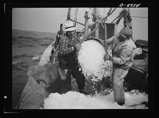 Victory food from American waters. Crew members throw overboard excess ice from Old Glory's hold. Fishmen allow a proportion of one ton of ice to three tons of fish. When the catch is unusually large as on this trip, some ice is removed to make room for the fish