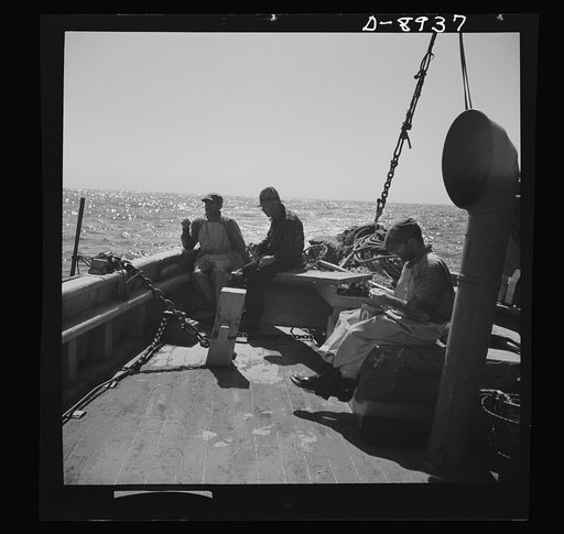 Victory food from American waters. The crew members are up at dawn and put in their trawl for the morning catch. Since fishermen are handicapped by shortage of boats and material, they must strive for the largest possible catches on each trip