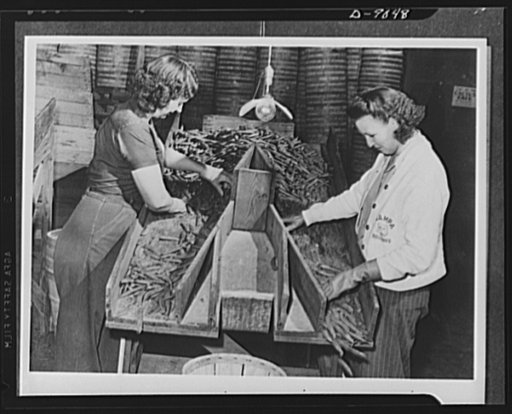 After green peas are picked, they're not shipped hit or miss to the retail stores. They must be sorted and graded before they are packed for shipment; and that's what these two young women are doing. Clean, easy work for women who join the U.S. Crop Corps, and very essential