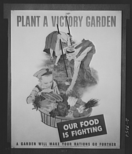 Plant a victory garden. Poster distributed by the Office of War Information to libraries, museums post offices. The original is 22 inches and is printed in full color. The poster was designed by Robert Gwathmey, mural artist. Copies are obtainable from Division of Public Inquiries, OWI, 14th and Pen