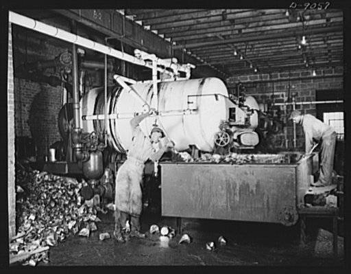 Conversion. Rendering of household fats. Empty cans from which reclaimed household greases have been removed are shoveled from a vat at a rendering plant. The greases will be rendered for the making of soap and glycerin. These cans, often prepared the way the householder does, will be sent to a deti