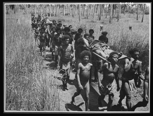 Natives aid Allied drive in New Guinea jungles. Without the aid of the New Guinea natives, many a wounded Allied soldier might have died in the trackless jungles. Native carriers "Fuzzy Wuzzy Angels" are shown bringing wounded troops into an advanced American dressing station in the Buna area