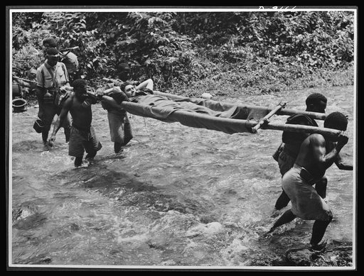 Natives aid Allied drive in New Guinea jungles. Following the Kokoda battle, native carriers transported Allied wounded through trackless jungles, across rivers and over mountain ranges. Many carriers, including those shown above, were decorated for their work in this campaign