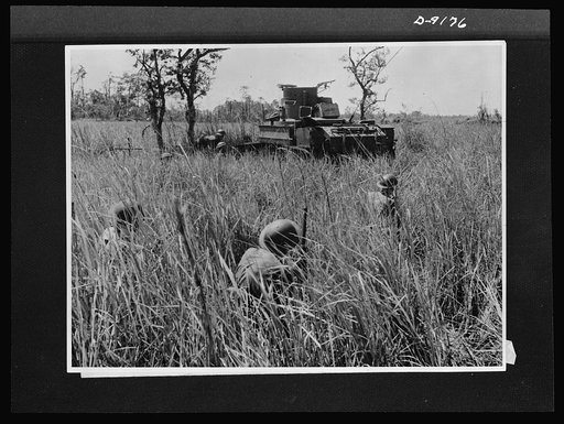 Troops in Australia. Under cover of tall grass, Australian troops crouch behind an American light tank in fighting at Buna. This picture, taken during actual warfare, shows infantrymen following up the tank as it advances to clear out Japanese pillboxes on the edge of Semini Creek