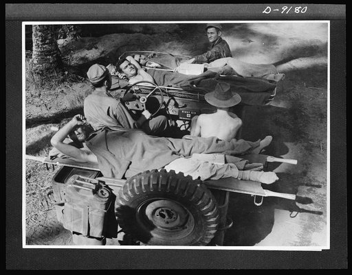 Troops in Australia. Soldiers, wounded in the fighting in New Guniea, are carried to a base in the versatile American jeep which has been readily converted into an ambulance for efficient handling of stretcher cases