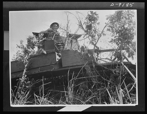 Australia in the war. A member of an Australian tank crew awaits the signal for further attack from the hatch of a camouflaged American tank. This picture was made during the action at Buna