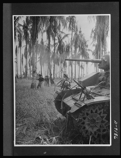 Australian fighting forces in action at Papua. Infantrymen advance as an Australian-manned American tank blast Japanese pillboxes and clear trees of snipers. In one morning's fighting this tank's machine guns fired 10,000 rounds. The picture was taken during actual warfare