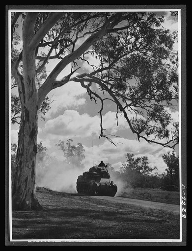 Symbolic of United Nations cooperation is this American medium tank in a typical Australian setting. American tanks furnished under lend-lease are playing an important role in the building up of Australia's armored forces