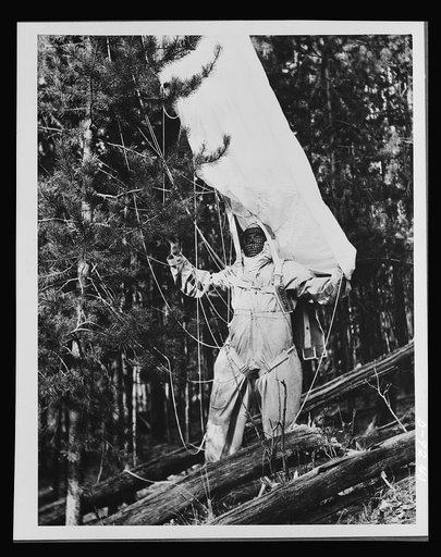 Forest fire fighter. Para-fireman. This parachutist fights timber fires for the U.S. Forest Service. Much of his equipment is similar to that used at the battlefronts, since he encounters many of the same perils