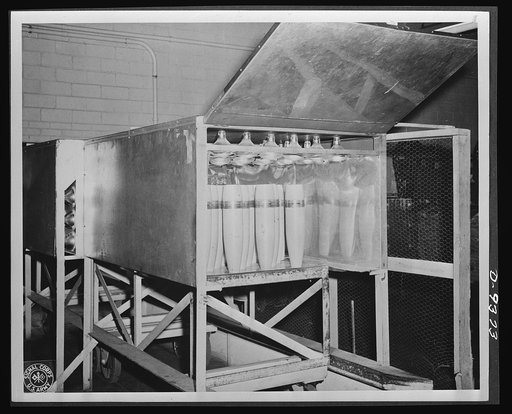 Production. Shell loading. Infra-red rays dry the paint on shells in these compartments at a large Midwest loading plant. The production of shells never stops here, three shifts of workers being spread "round the clock." Ravenna ordnance plant