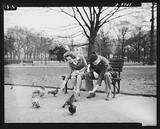 War workers. Social activities.  A government girl and her soldier friend feed the pigeons in Lafayette Park, across from the White House