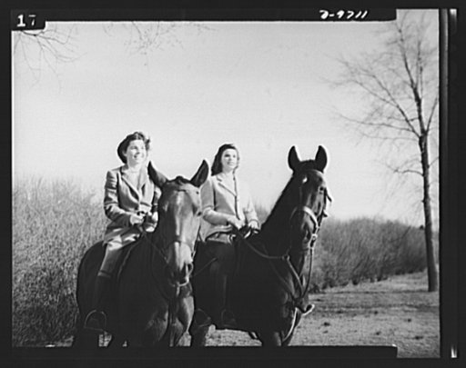 War workers. Social activities.  Horseback riding in Rock Creek Park is a popular form of recreation for government girls