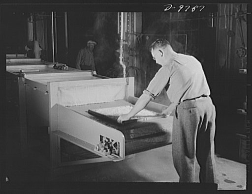 Dehydration. Potatoes. A tray of sliced potatoes is placed on the steam blancher by Horace Campbell, chief of the Vegetable Section at the Western Regional Research Laboratory in Albany, California. Four to five minutes of blanching are necessary to inactivate enzymes which are harmful to the keepin