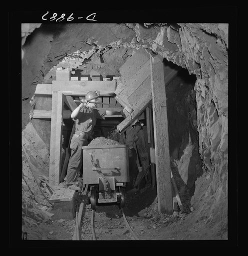 Production. Mercury. Loading mercury ore from a chute into a mine car at the New Idria, California plant of the New Idria Quicksilver Mining Company plant. Triple-distilled mercury is produced from cinnabar, an ore containing sulphur and mercury mined at a number of workings near the plant